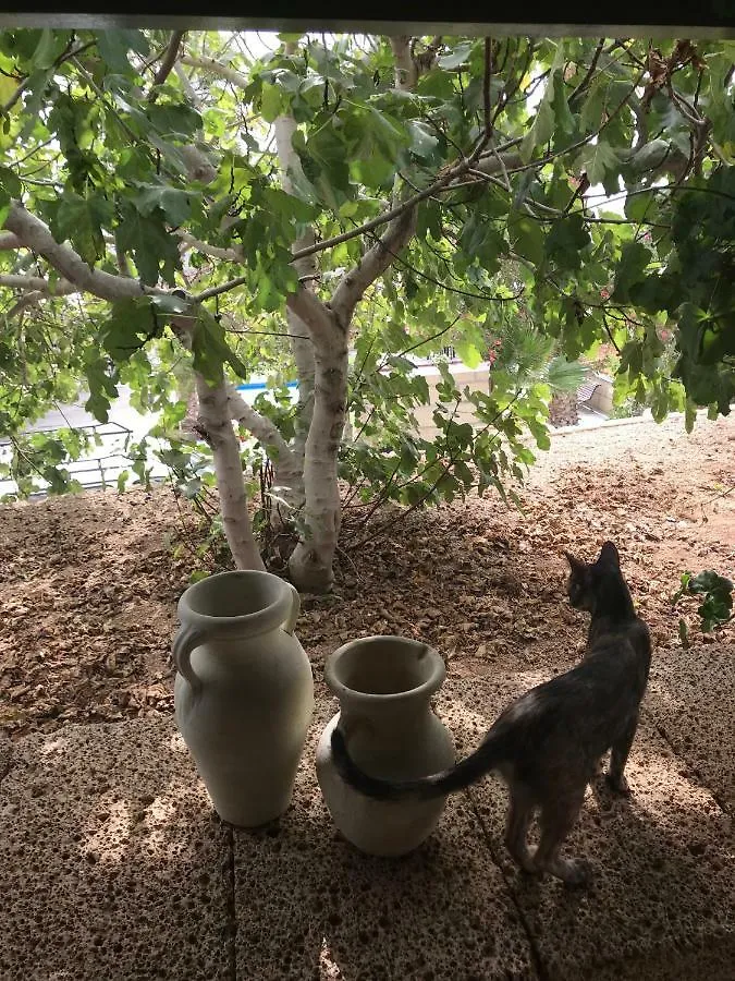 Finca El Cortijo ξενώνας Σαν Μιγκέλ ντε Αμπόνα